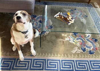 Peter and the Dragon Carpet